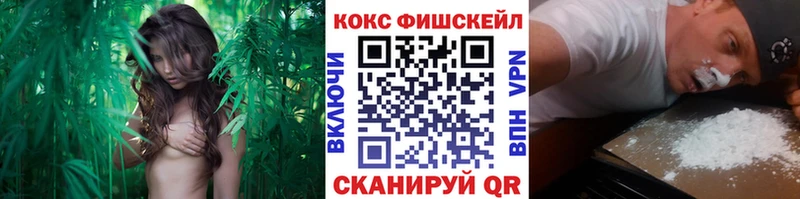 где можно купить МЕГА рабочий сайт COCAIN Эквадор Уяр
