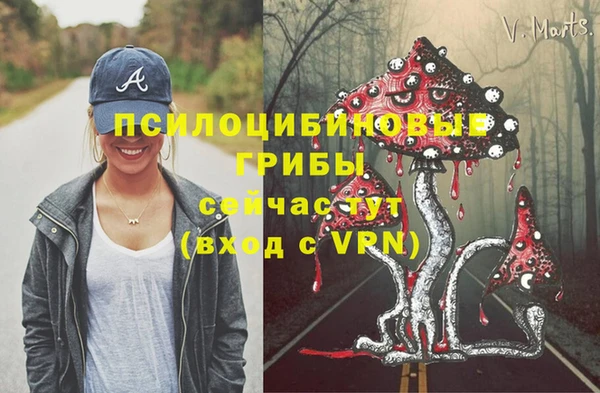эйфоретик Алексин