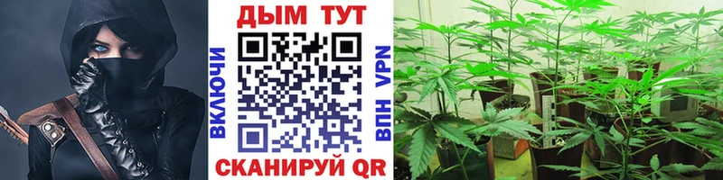 дарнет шоп  Уяр  Марихуана THC 21% 